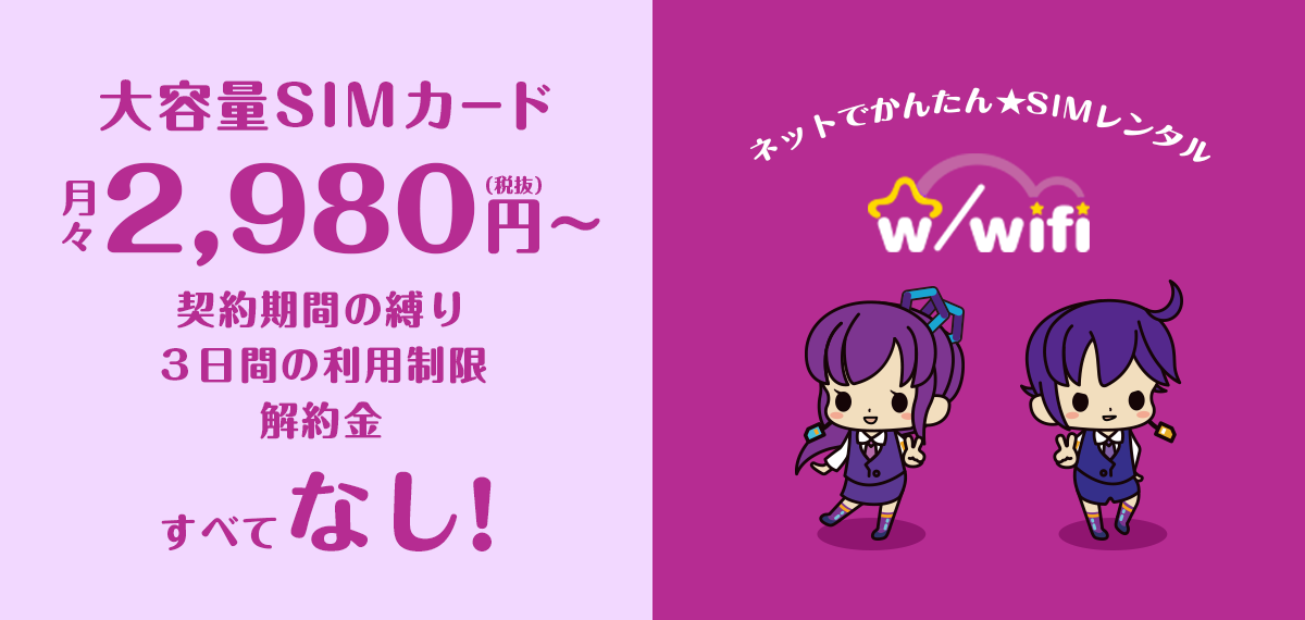 大容量SIMカード月々2,980(税抜)円〜